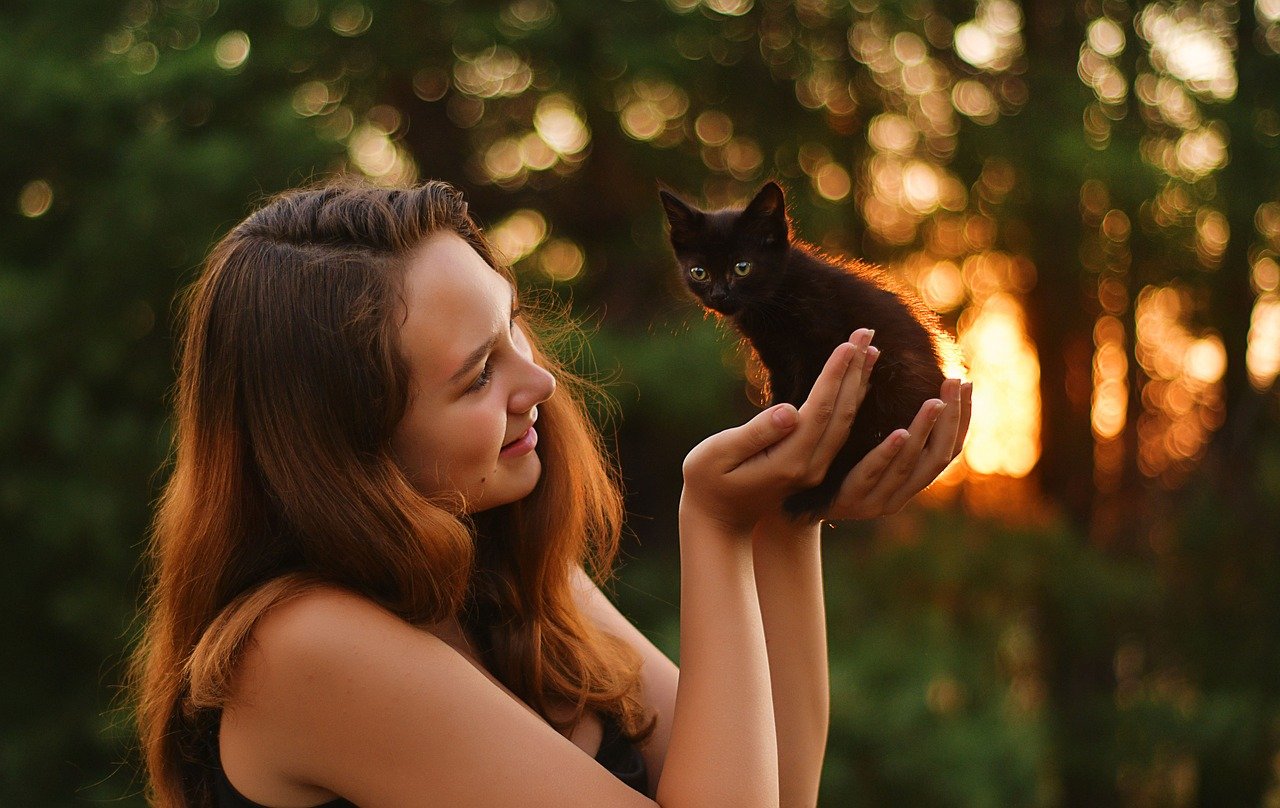 evening, kitten, woman, sunset, animal, girl, light, bokeh, cute, outdoors, pet, cute, pet, pet, nature, pet, pet, pet