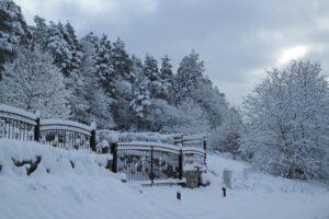 A serene winter scene featuring a snow-laden trees and a rustic wrought iron gate.