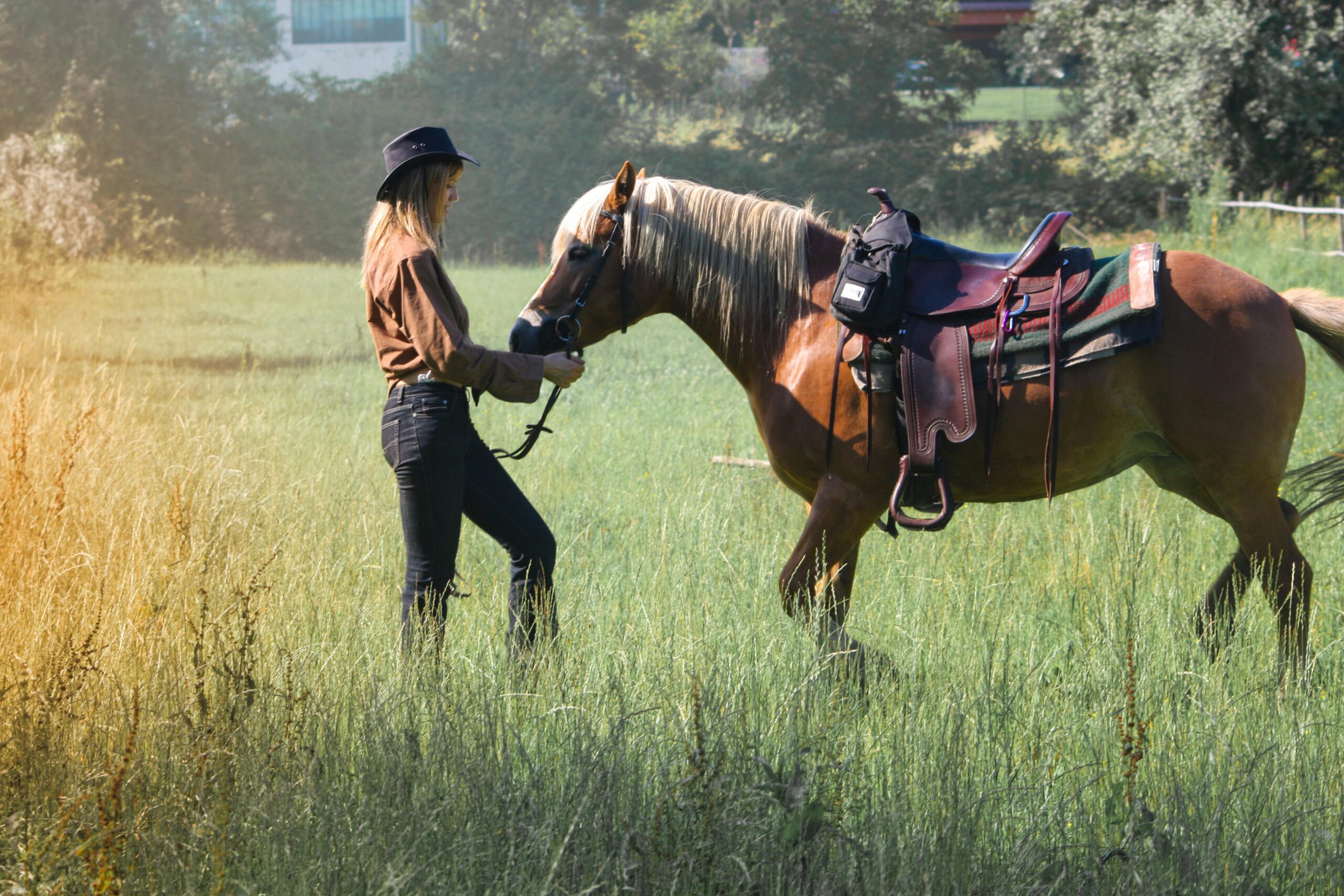 A woman in Western attire leads a saddled horse through a sunny, peaceful field.