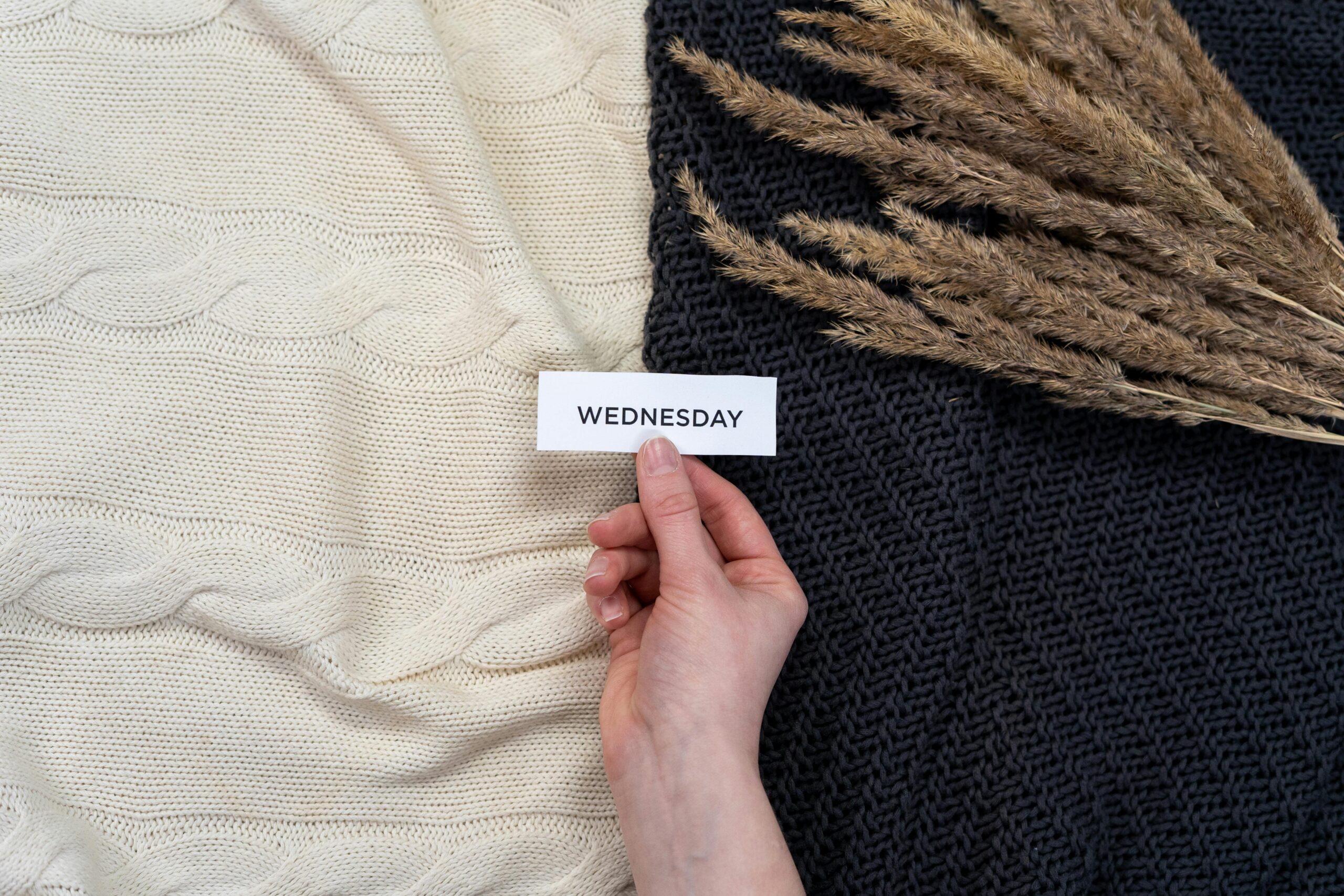 Elegant flat lay with a Wednesday card over woolen blankets and dried florals. Perfect for cozy, aesthetic content.