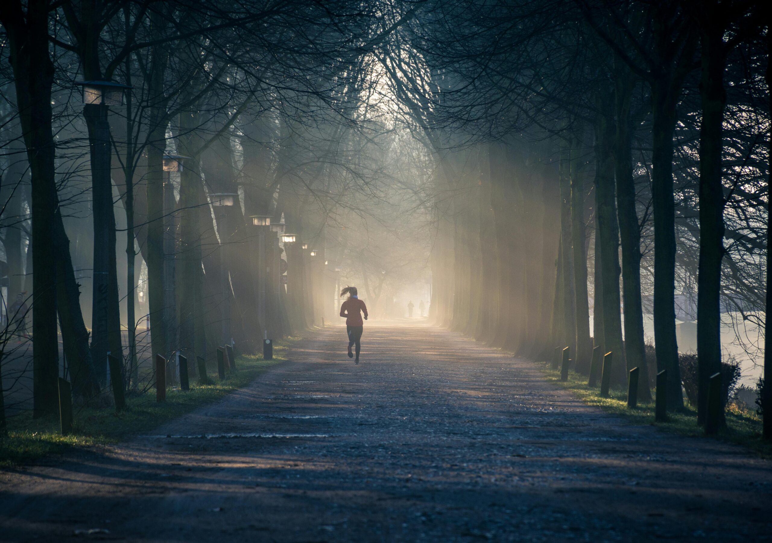 A person jogging along a foggy tree-lined pathway in a park during sunrise.