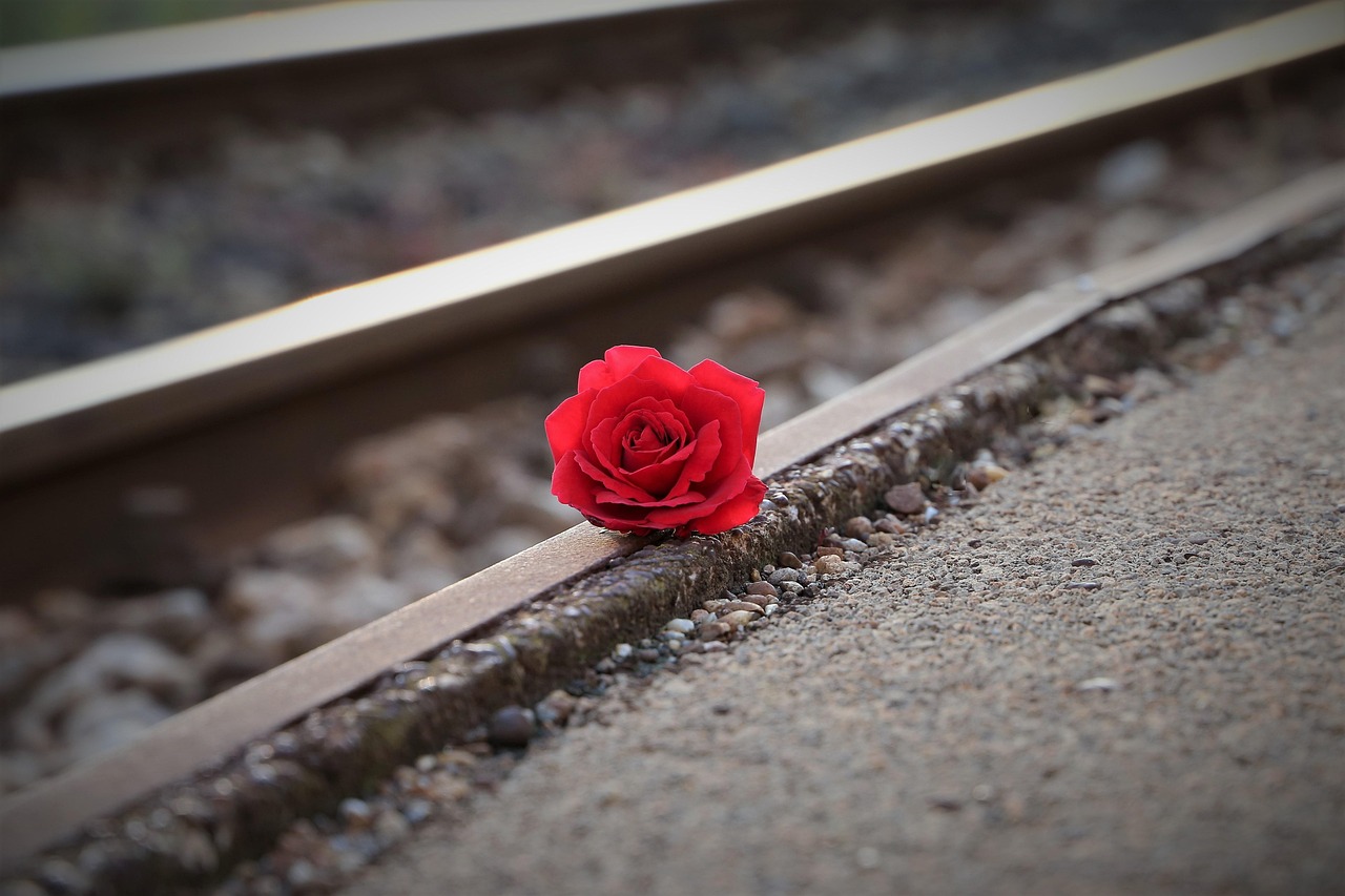 stop youth suicide, red rose near rail, remembering all victims, of suicide on rail, loving memory, condolence, nature, outdoor