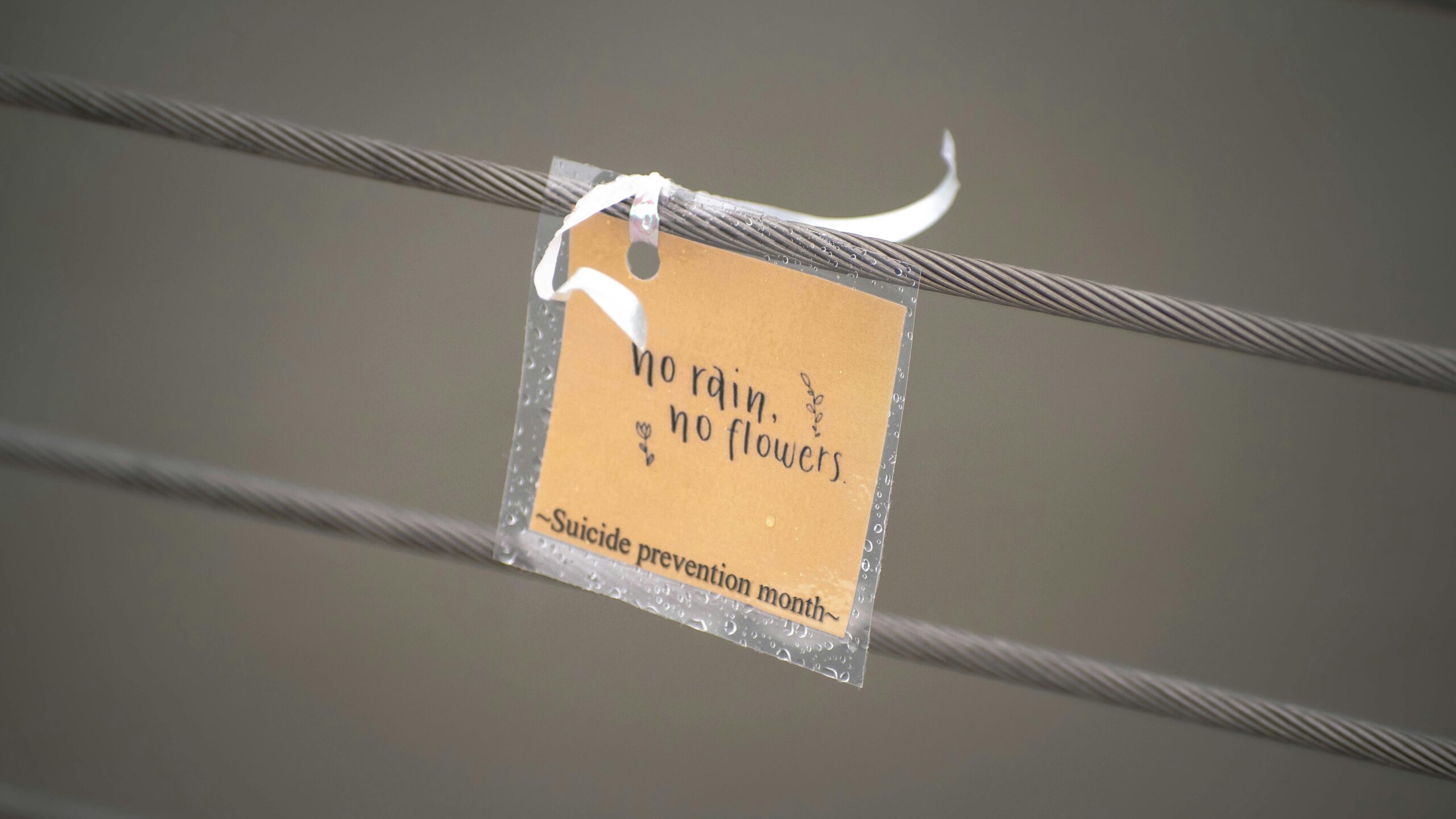 Motivational message on a tag promoting suicide prevention with 'No rain, no flowers' text.